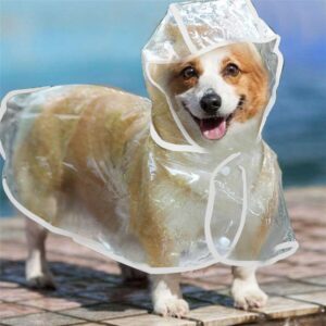 Puppy Raincoat